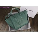 2015 Ceilne hot style crocodile 3341 green JH06404zm75