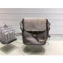 Chloe Faye original suede leather Backpack C4756 grey JH08908Vo37