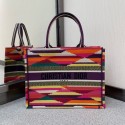 DIOR BOOK TOTE Multicolor D-Stripes Embroidery M1287Z JH06786kg81