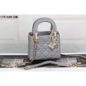 Dior mini 99001 original leather Gray JH07678gt51