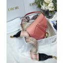 DIOR SADDLE BAG Gradient Calfskin M0446C Pink &Shoulder strap JH06686ta99