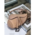 Dior SADDLE SATIN MINI BAG M447S Champagne JH07242Pe30