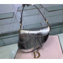 Dior SADDLE Snake skin tote C9046 silver JH07040Am73