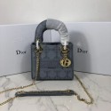 Fake MINI LADY DIOR TOTE BAG IN EMBROIDERED CANVAS C4531 grey blue JH07097wn47