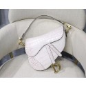 Fashion Dior SADDLE SOFT CALFSKIN BAG C9045 white JH07045NC66