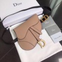 High Imitation Dior SADDLE-CLUTCH VAN KALFSLEER S5632C pink JH07325mt35