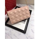 LADY DIOR-CLUTCH VAN LAMSLEER S0204 pink JH07335jk50