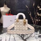 Dior CANNAGE Original Calfskin Leather Tote Bag 3891 Beige JH07628mB48