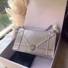 DIORAMA BAG IN SILVER-TONE METALLIC CALFSKIN WITH MICRO-CANNAGE MOTIF M0422 JH07580Bh43