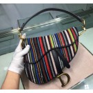 Knockoff Dior SADDLE Embroidered Leather Mini bag M0446 JH07167ll66