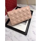 LADY DIOR-CLUTCH VAN LAMSLEER S0204 pink JH07335jk50