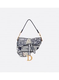 Copy SADDLE BAG Dior Embroidery D2456E JH06932cS18