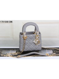 Dior mini 99001 original leather Gray JH07678gt51