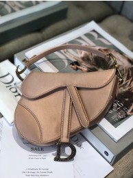 Dior SADDLE SATIN MINI BAG M447S Champagne JH07242Pe30