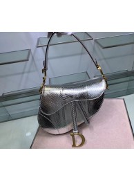 Dior SADDLE Snake skin tote C9046 silver JH07040Am73