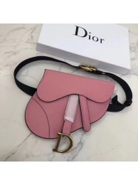 Fake Dior SADDLE-CLUTCH VAN KALFSLEER S5632C Rose Ballet Pink JH07323DK43