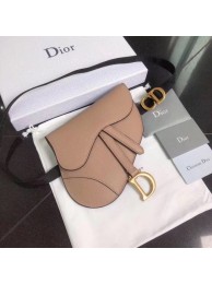 High Imitation Dior SADDLE-CLUTCH VAN KALFSLEER S5632C pink JH07325mt35