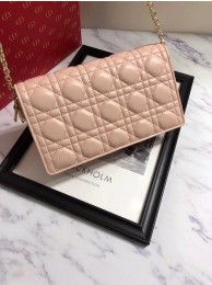 LADY DIOR-CLUTCH VAN LAMSLEER S0204 pink JH07335jk50