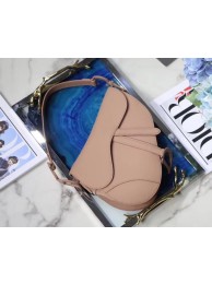 Replica Dior Mini Saddle Bag Calfskin M0447 Nude JH07173za44