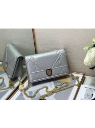 Replica DIORAMA CALFSKIN CLUTCH M49P silver JH07054ec82